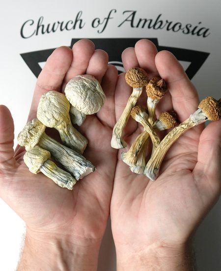 both-hands-zide-door